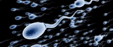 Фото: Сколько нужно спермы