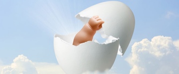 Фото: Статьи о донорстве