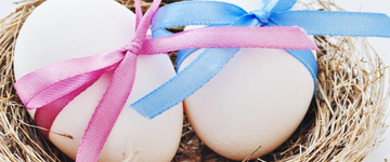 Фото: Донация яйцеклеток