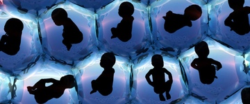 Фото: Донорство яйцеклетки: опасно ли это для донора?