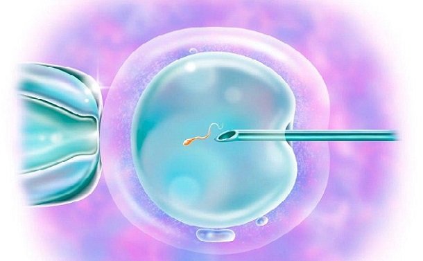 Фото:Моча при гестозе